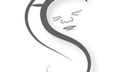 Hudson Shea Foundation