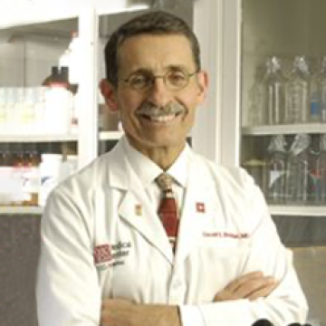 David E Schuller